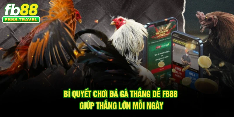 Bí Quyết Chơi Đá Gà Thắng Dễ Fb88 Giúp Thắng Lớn Mỗi Ngày