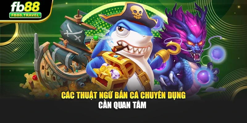 Các thuật ngữ bắn cá chuyên dụng cần quan tâm 