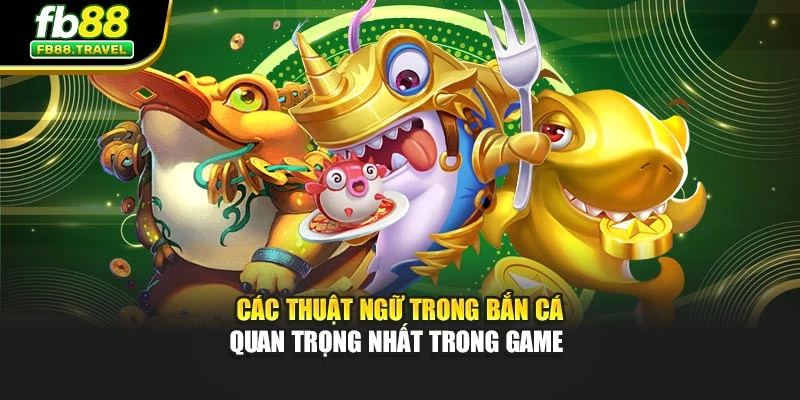 Các thuật ngữ trong bắn cá quan trọng nhất trong game 