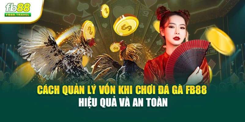 Cách Quản Lý Vốn Khi Chơi Đá Gà FB88 Hiệu Quả Và An Toàn