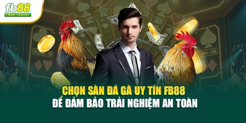 Chọn Sàn Đá Gà Uy Tín FB88 Để Đảm Bảo Trải Nghiệm An Toàn