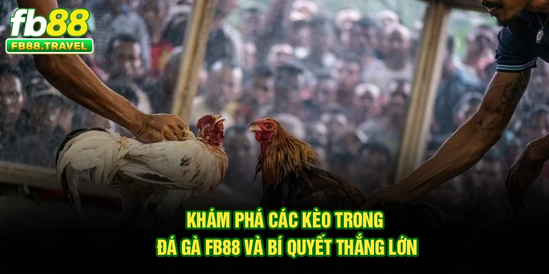 Khám Phá Các Kèo Trong Đá Gà Fb88 Và Bí Quyết Thắng Lớn