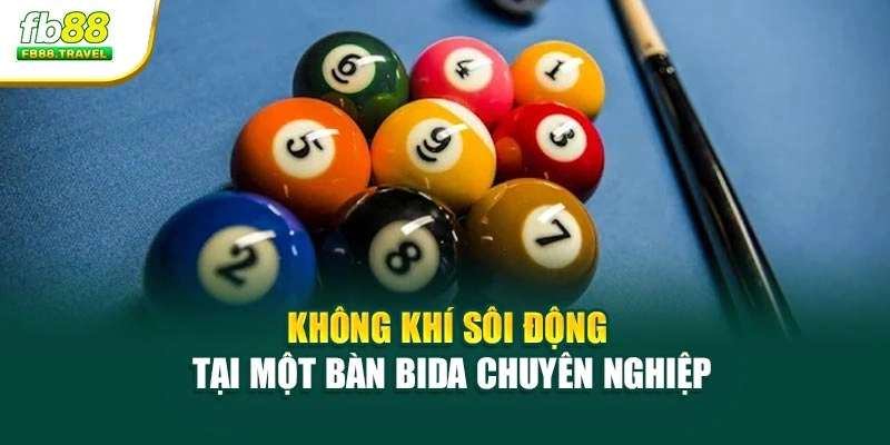 Không khí sôi động tại một bàn bida chuyên nghiệp 
