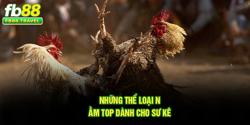 Những thể loại nằm top dành cho sư kê