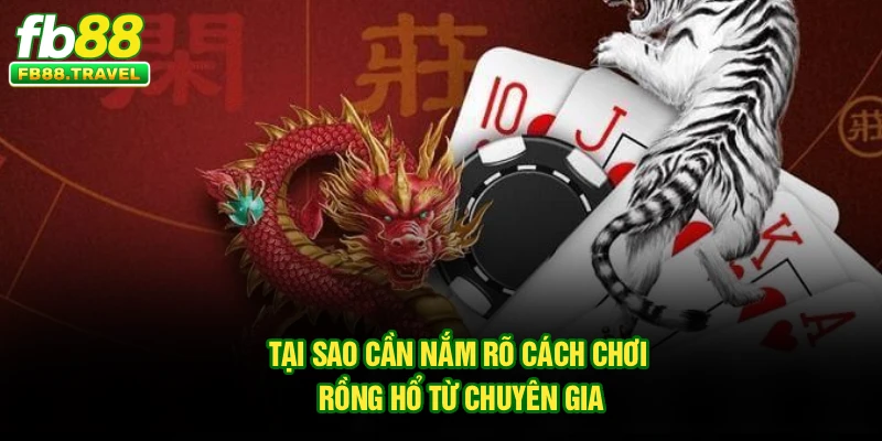Tại sao cần nắm rõ cách chơi rồng hổ từ chuyên gia