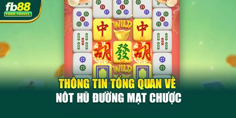 Thông tin tổng quan về nôt hũ Đường mạt chược