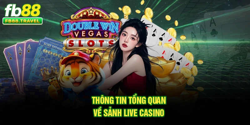 Thông tin tổng quan về sảnh Live Casino