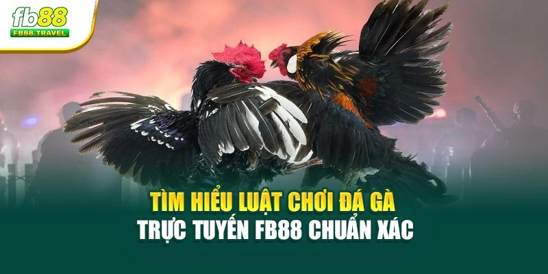 Tìm Hiểu Luật Chơi Đá Gà Trực Tuyến FB88 Chuẩn Xác