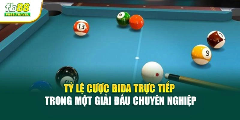 Tỷ lệ cược bida trực tiếp trong một giải đấu chuyên nghiệp