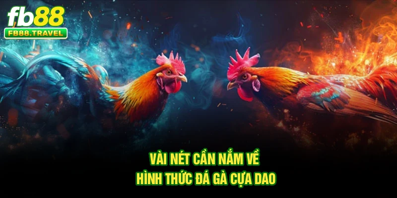 Vài nét cần nắm về hình thức đá gà cựa dao