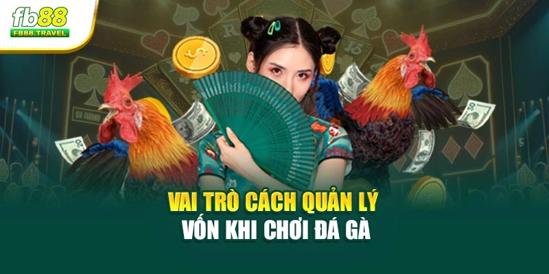 Vai trò cách quản lý vốn khi chơi đá gà